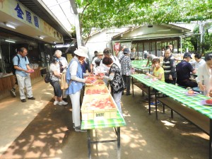 2017_0710_150731-DSCN3947 (002)