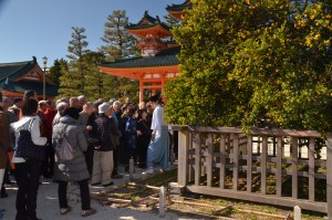 17.11.24平安神宮