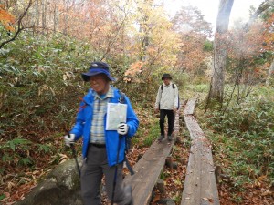 鳩待峠から尾瀬 (4)