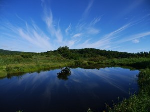 大曲の花火