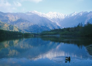 大正池の安らぎ