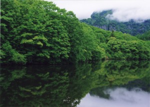 鏡ケ池の春