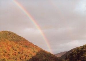 山の架橋