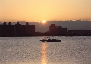 朝日を浴びて