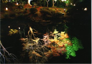 松島円通院「池の中の世界」