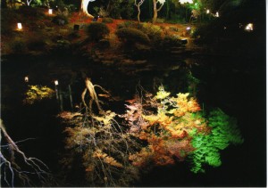松島円通院「池の中の世界」