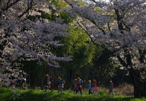 春の通学路