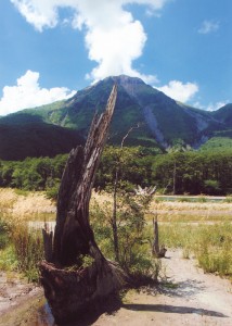 初秋の高原