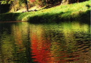 水辺の紅葉