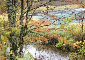 晩秋沼のほとり