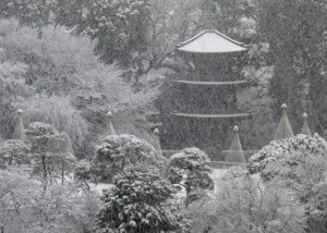 大初雪・椿山荘