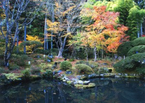 松島「円通院」