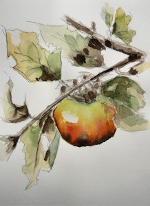 絵画教室の柿
