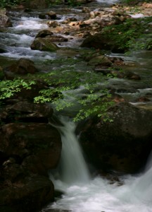 初夏の渓流