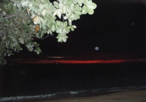 白い太陽と夕陽