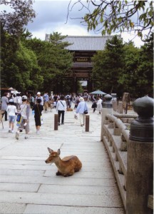 動かないからね！