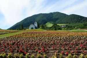 初秋のやくらい