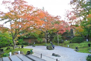 松島の紅葉