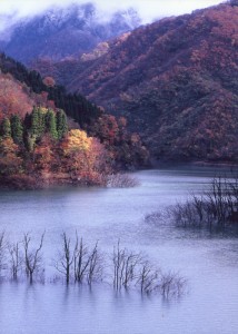 時雨日和