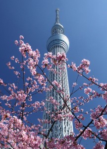 スカイツリーの春