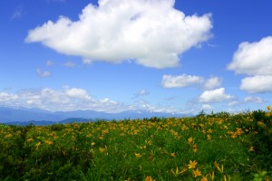 夏の高原