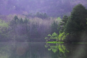 新緑映える