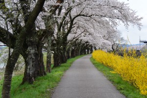 花街道