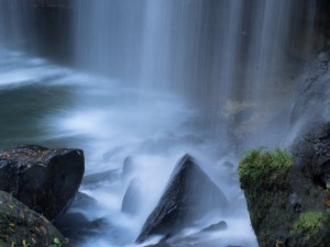 幻想的な輝き