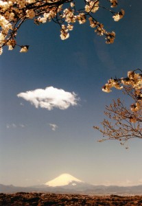 富士に桜