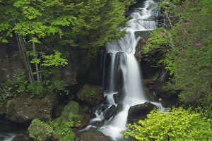 初夏・竜頭の滝