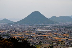 晩春の讃岐平野