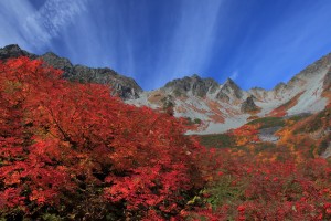 華やかな秋景