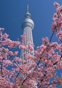 スカイツリーの春