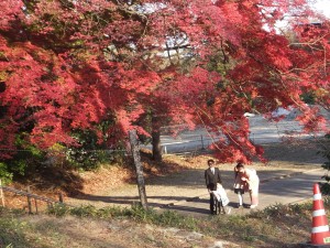 七五三・加茂神社