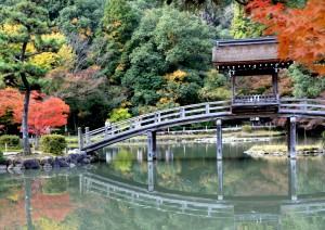 秋の風景