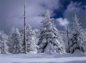 深雪