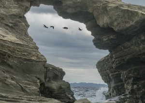 城ヶ島馬の背洞門