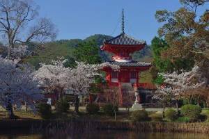 桜彩る心経宝塔