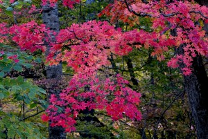 夕張　滝上公園にて