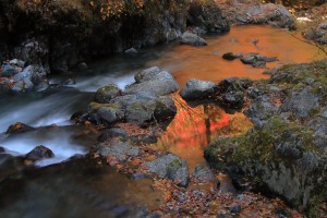 渓流紅彩