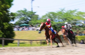 員弁の草競馬