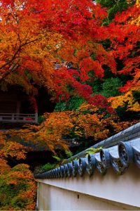 紅葉の永源寺