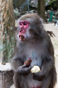 食欲の秋