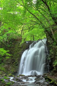 新緑生える浅間大滝