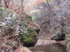 増田川源流のライオン岩