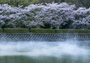 花冷えの朝