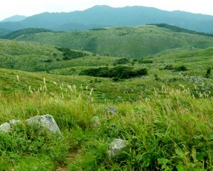 秋を待つ秋吉台