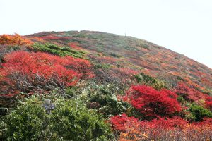 船形山山頂を望む