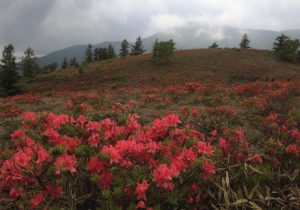 山が赤くなる時