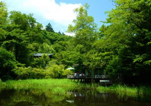 避暑地の夏